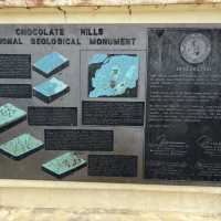 the Philippines 🇵🇭 Bohol: chocolate hills and tarsiers