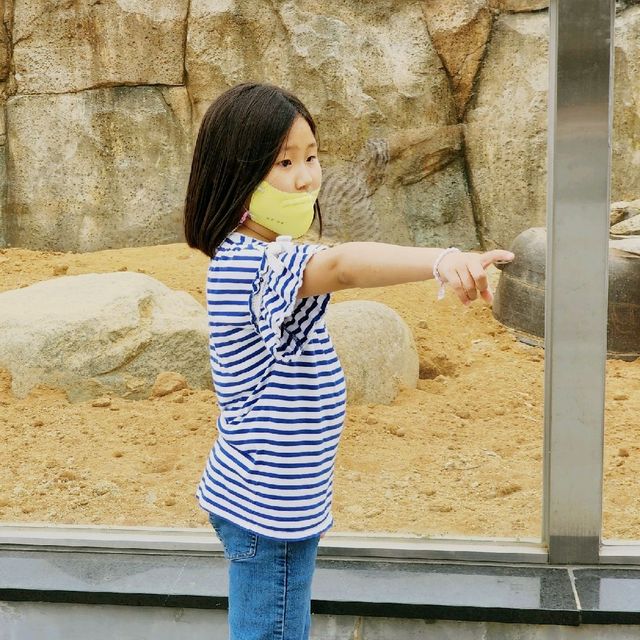 울진 왕피천공원, 아이와 함께 가볼만한 울진여행 장소