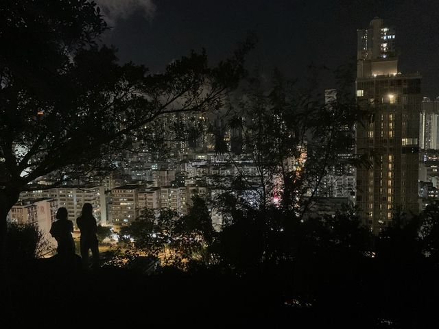 深水埗——嘉頓山