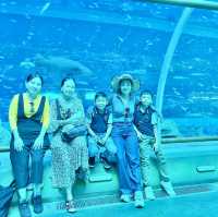 Trip Koh Trol $ Prey Nokor