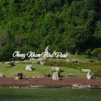 寧平必玩景點--松芽鳥類生態旅遊區Khu du lịch sinh thái Thung Nham - Ninh Bình