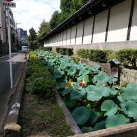 京都府にある荘厳な東本願寺