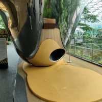 Discovery Slides