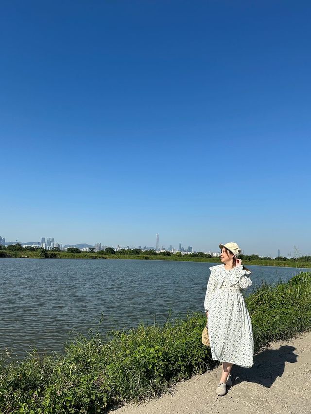 📍元朗朗屏｜欣賞魚塘及深圳skyline