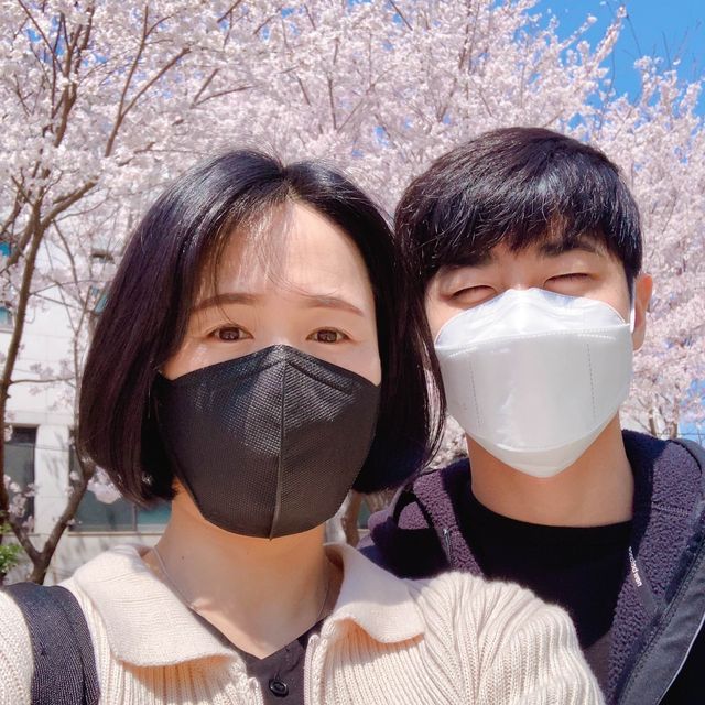 🌸보라매공원에서 도림천까지 이어진 ‘신대방벚꽃길’