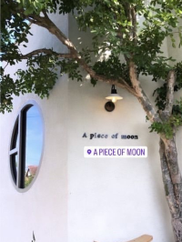 A piece of Moon