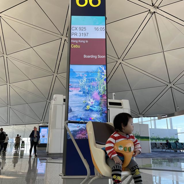 我係小豬帶我哋香港小朋友飛去Cebu宿霧玩吓