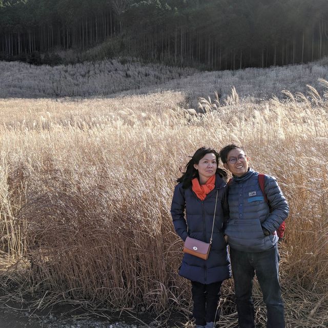 Sengokubara Susuki Sougen (Grass Field)