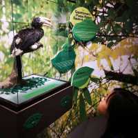 Piasau Nature Reserve Visitor Centre