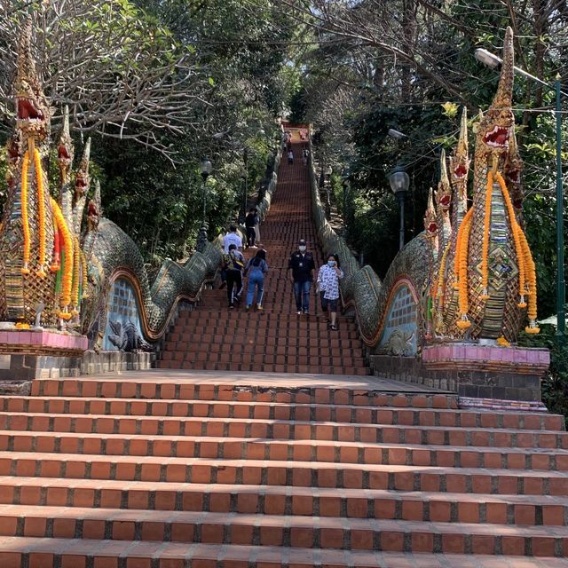 Challenging 8,000 “Stairs to the SKY HIKE!”