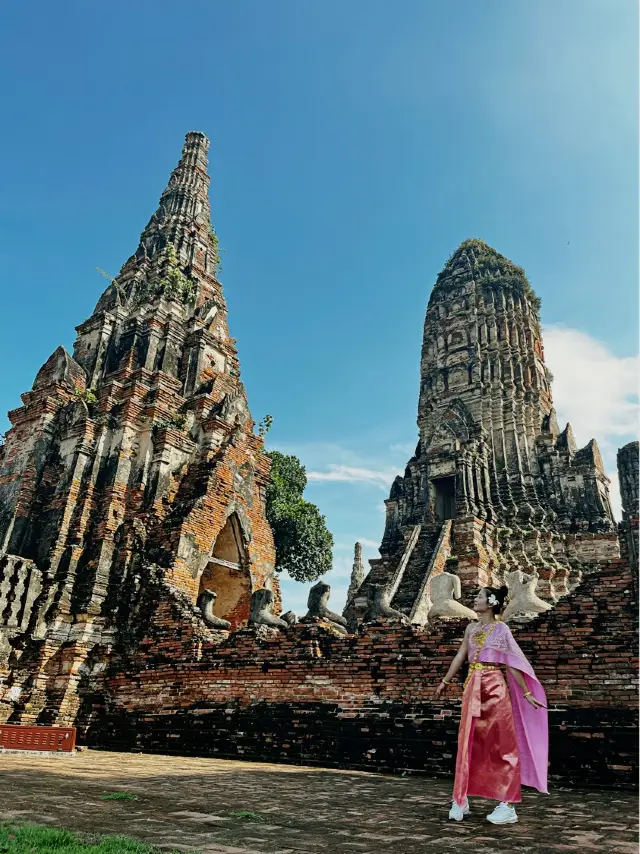 •밤비행기라면 추천하는 아유타야 당일치기여행•