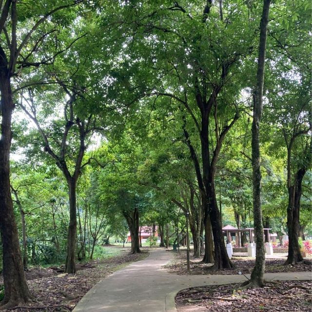 気軽に来れるボート移動付き自然公園　グヌンラン公園