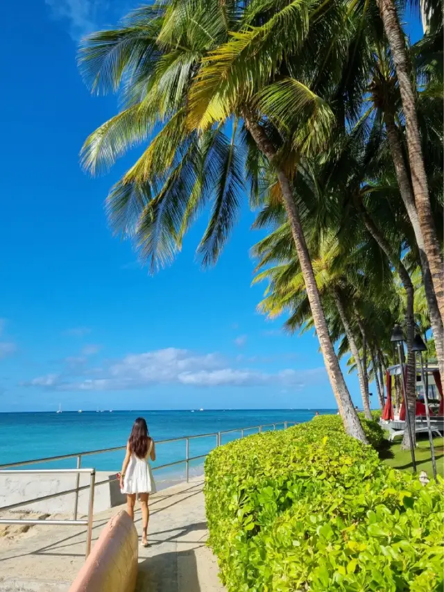 이게 바로 하와이의 호캉스다!