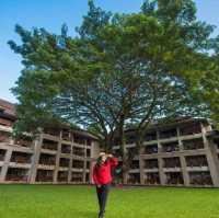 ที่พักสวยริมแม่น้ำกก Le Méridien Chiang Rai Resort