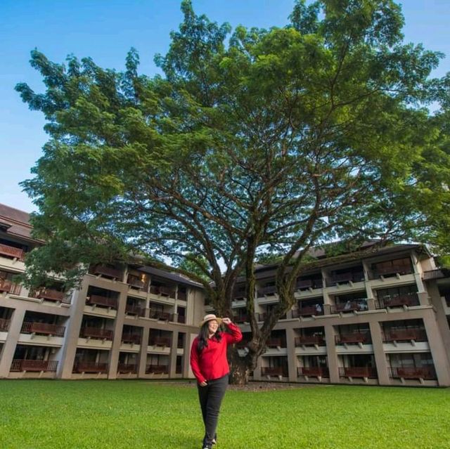 ที่พักสวยริมแม่น้ำกก Le Méridien Chiang Rai Resort
