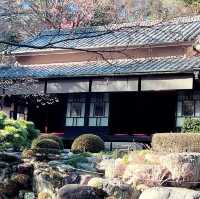 สวนญี่ปุ่นTokumei-en🌳
