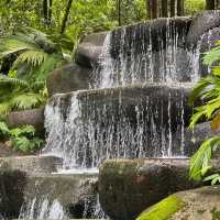 Mount Imbiah Nature Trail, Sentosa Attraction