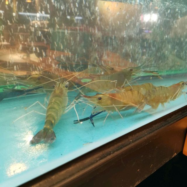 任飲任食任玩蝦蝦燒🦐