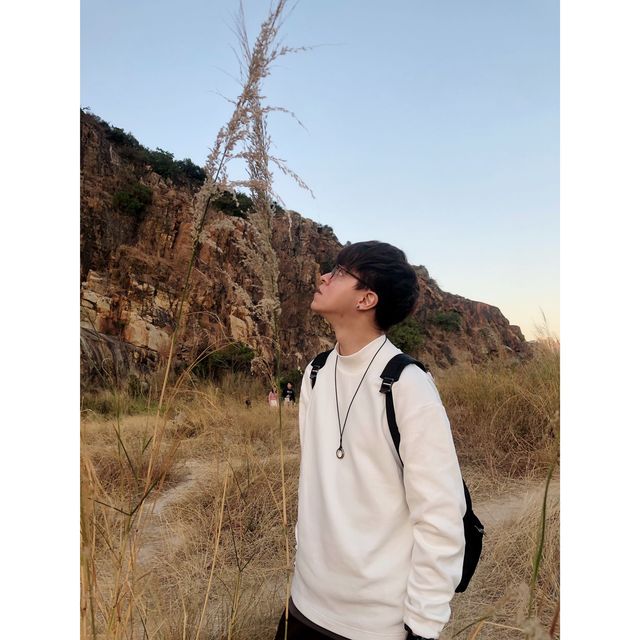 仍然秋季，看看芒草