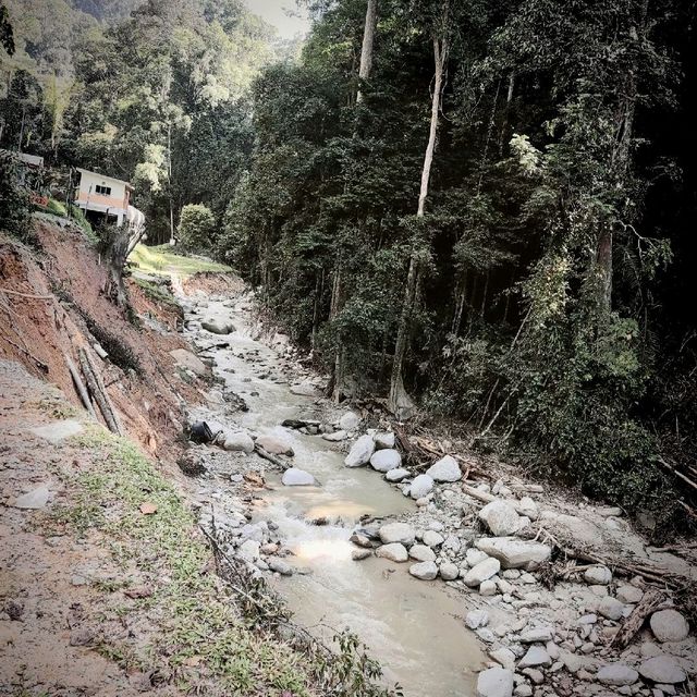 Gunung Berembun