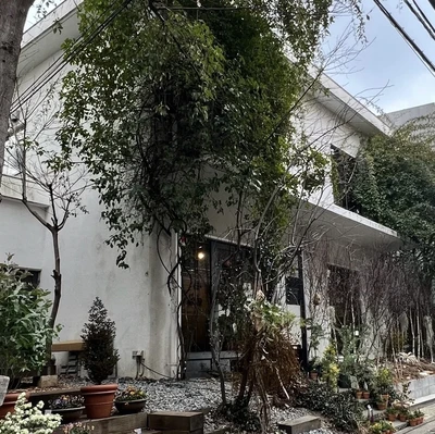 代官山で一番おしゃれな花屋さん Trip Com 東京の旅のブログ