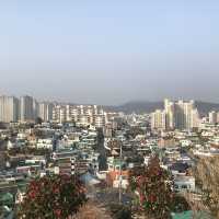 통영 여행코스 추천 :: 동피랑 벽화마을 🤩