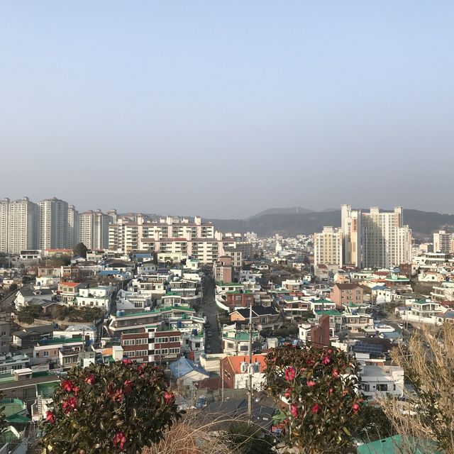 통영 여행코스 추천 :: 동피랑 벽화마을 🤩