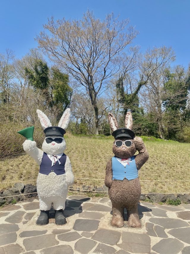 미니 제주🌸 짧은 제주 여행이라면 필수 코스!