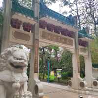 行到腳軟既荔枝角公園