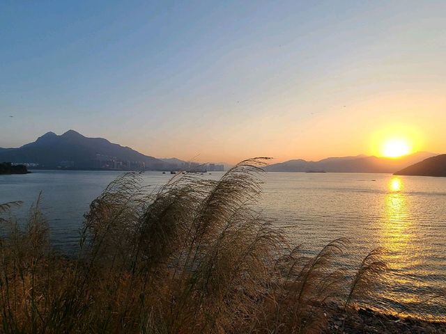 三項鐵人大尾篤🚴‍♀️🚣‍♀️