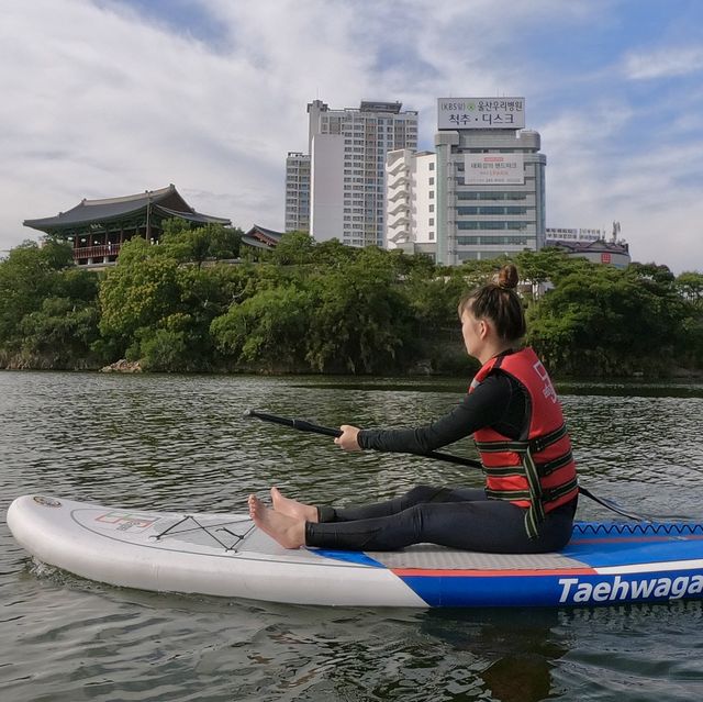 태화강에서 패들보드🏄‍♀️