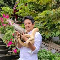 Snake Temple @Penang Island