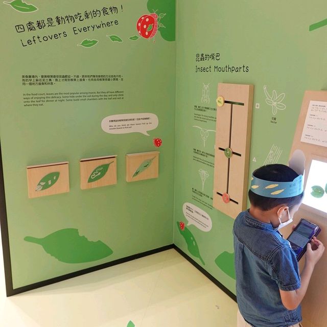 同仔仔一樣冇手尾動物免費展覽