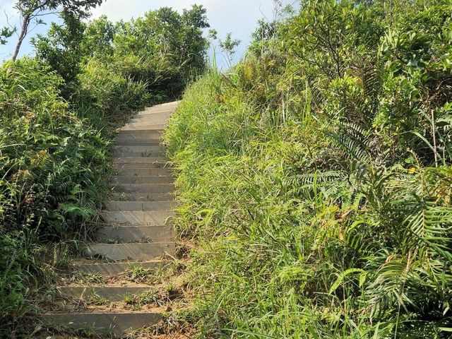 北大刀屻