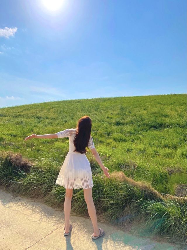 서산 당일치기 여행 여기 어때??