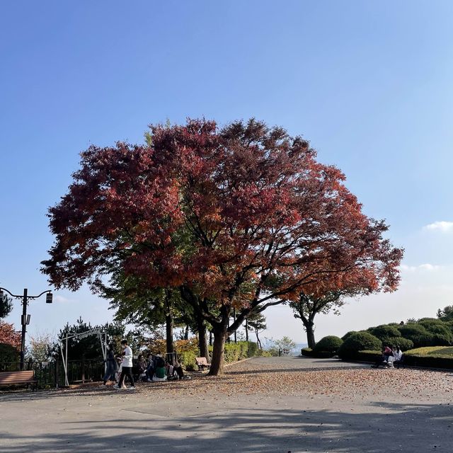 단풍과 한강뷰를 한번에 볼 수 있는 행주산성