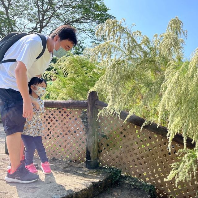 獅子會自然教育中心🦁️親親蝴蝶🦋