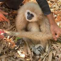 พาไปเที่ยวลำคลองงู อุทยานแห่งชาติลำคลองงู