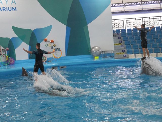 Pattaya Dolphinarium โชว์โลมาที่ดีที่สุดในเอเชีย