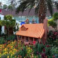 Christmas @ Flower Dome