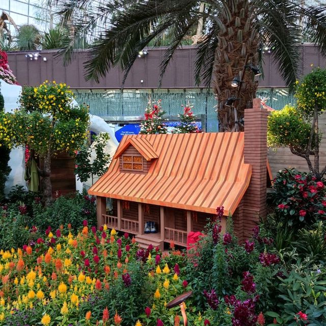 Christmas @ Flower Dome