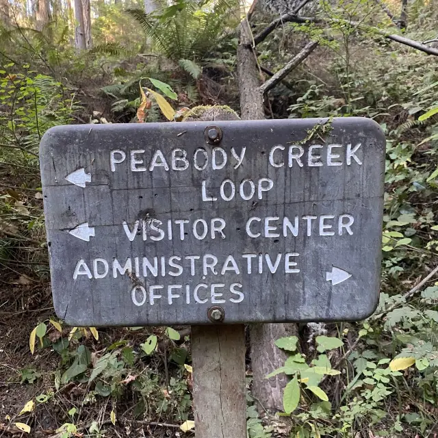 Peabody Creek Trail