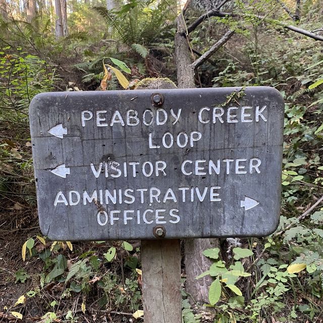Peabody Creek Trail