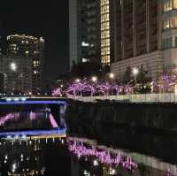 【五反田】目黒川沿いのイルミネーション