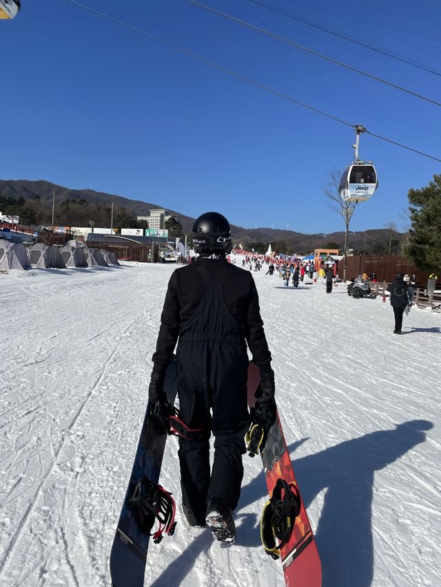 식사까지 올패스 휘닉스파크 평창 스노우파크🏂🏂