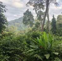 Danum Valley - Borneo, Malaysia