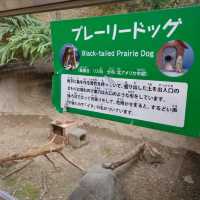 ひらかたパークの可愛い動物たち