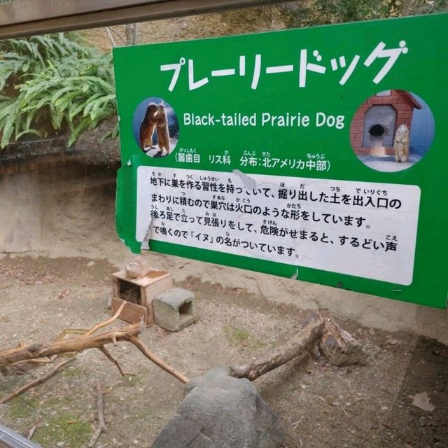ひらかたパークの可愛い動物たち