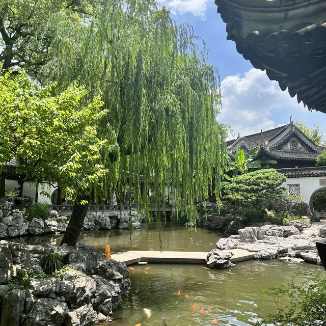 Gardens in Shanghai 