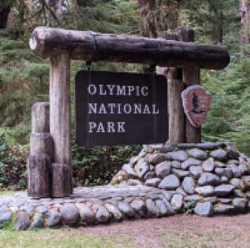 Olympic National Park Trip